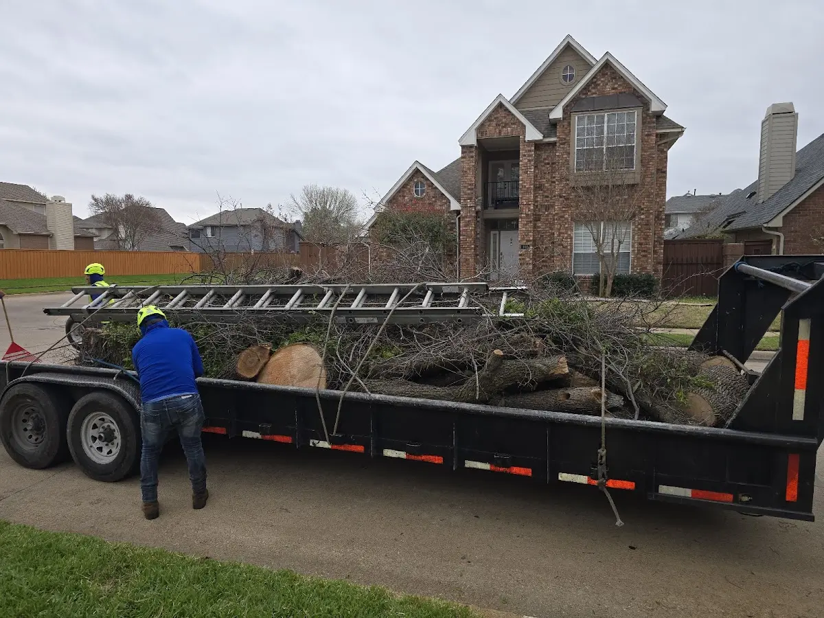 Expert Tree Fertilization with proper safety equipment in Ponderosa